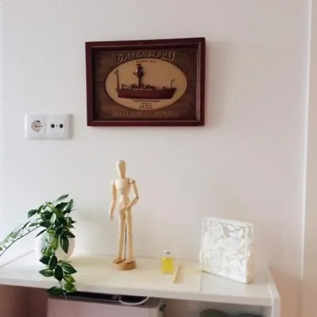 Apartamento Espelho Da Ria No Coração De *